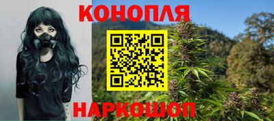 spice Нальчик