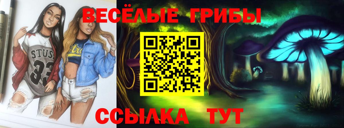 Псилоцибиновые грибы Psilocybine cubensis  Вход с VPN  Новодвинск 